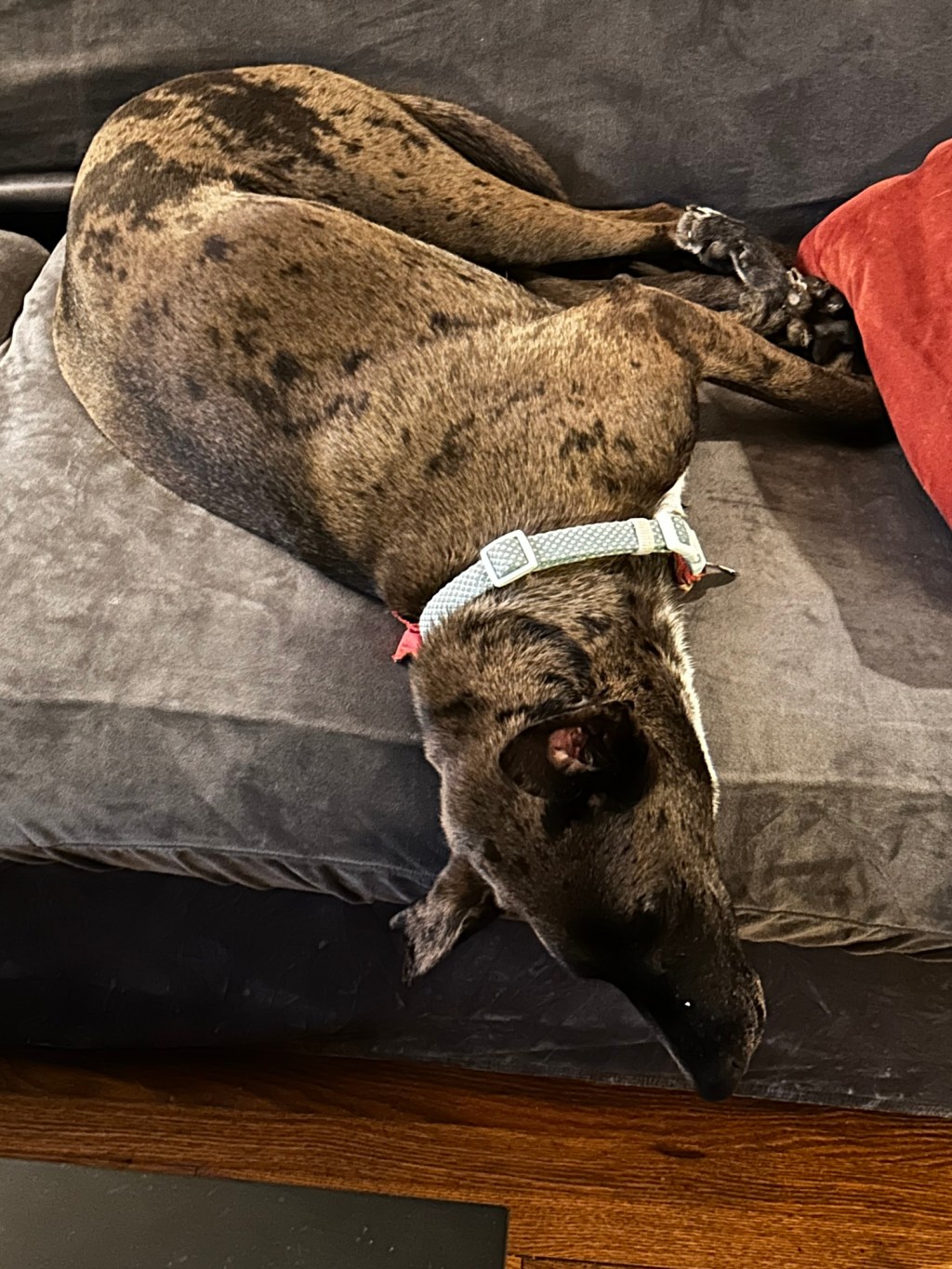 January 74th:  The Month That Refuses to&nbsp;End