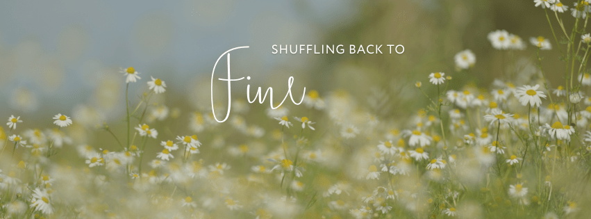 Shuffling Back to&nbsp;Fine